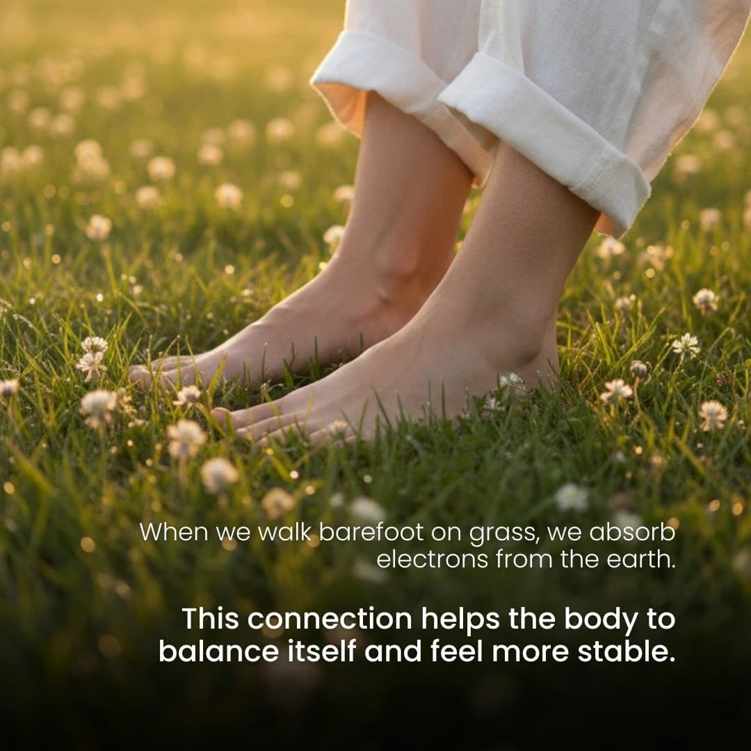 Grounding PRO Bundle